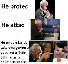 Cats can have a little salami meme. A Little Salami For All Sandersforpresident