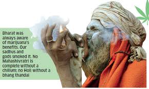 Marijuana Is India Losing Out On A Ready To Boom Cannabis