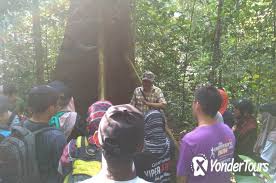 The forest research institute malaysia (frim; Forest Research Institute Malaysia Frim Nature Trekking From Kuala Lumpur 2021