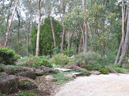 Stunning Australian Native Plants Society Australia Garden Design Study And Australian Bush Australian Garden Australian Garden Design Acreage Landscaping