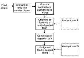 Please Answer 7 Based On The Information Given In The Flow