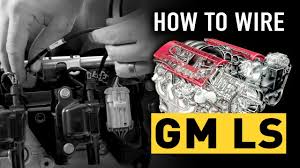 Also, on the diagram of the camaro c100 connector, f8 is brown and connects to. Download Schema Lt1 Wiring Harness Wiring Diagram Hd Version Wwwezwiring Chefscuisiniersain Fr