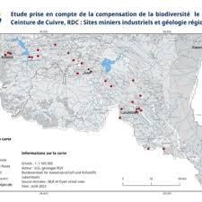Image result for Liparis killmanniae