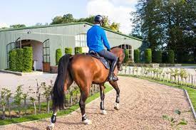 Indoor Riding Arena Envy Gornall Equestrian Stable Style Riding Arenas Equestrian Riding Arena Equestrian Stables