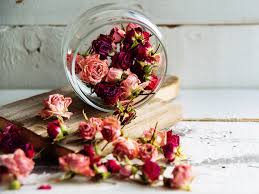 We did not find results for: 1001 Idees Pour Faire Son Pot Pourri Maison Aux Parfums Envoutants