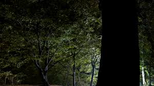 Central park dark 2021 watch online in hd on 123movies. The Dark Secrets Of Central Park