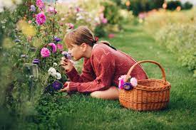 10 cele mai aromate flori pentru gradina ta « aflati.ro