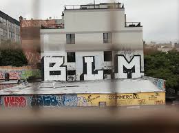 Meet the primary candidates angling to unseat president donald trump. Donald Trump Brooklyn Street Art