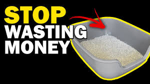 Check spelling or type a new query. How I Got Scammed On Kickstarter