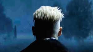 As fans know, dumbledore won the elder wand off gellert. Has Fantastic Beasts Been A Voldemort Origin Story All Along Vanity Fair