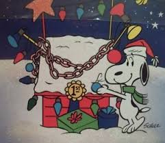A fanmade peanuts cartoon about the true story of charlie brown and snoopy based on a strip written by charles m. Hallmark Peanuts Snoopy Christmas Cards His Decorated Dog House 16 Cards New Ebay
