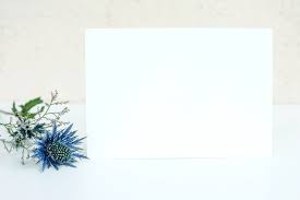 Blue Thistle Mockup Download This Photo By Elena Joland On Unsplash In 2020 Photo Plants Unsplash