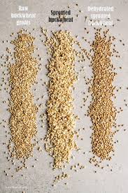 The nutrient density and health benefits of this cereal are lightyears beyond its competitors. Sprouted Buckwheat Aka How To Sprout Buckwheat Nutriplanet
