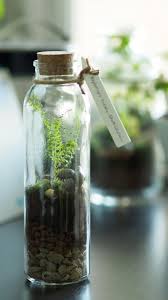 Unique Closed Glass Terrarium Ideas For Plant Terrariumanimals Mini Terrarium Terrarium Plants Terrarium Diy