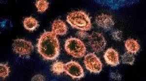 This website provides free medical books. Coronavirus Mutated In Immunocompromised Patient After Plasma Therapy Case Study Ctv News