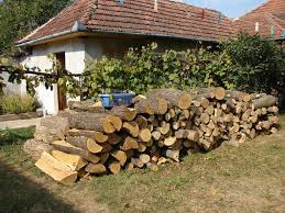 Un metru ster este egal cu aproximativ 0, 66 metri cubi de lemn, deoarece un metru ster nu reprezintă o cantitate fixă ci depinde de grosimea și modul de. Iarna Pe UliÅ£Ä Episodul 3 Matematica IntreÅ£inerii IncÄlzirea