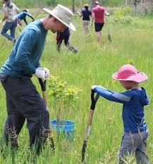 A n n u a l R e p o r t