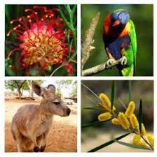 Check spelling or type a new query. Australia Fauna Ecured