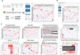 Image result for bioinformatics heatmap