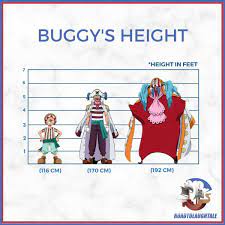 The Big Question : How Tall Is Buggy from One Piece ?