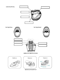 Topeng gigi di tangan (sains tahun 3). Gigi