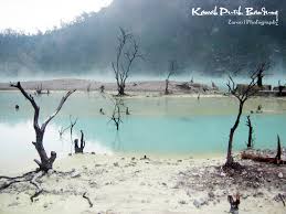 Hasil gambar untuk foto wisata bandung selatan ciwidey