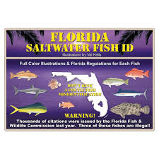 Sw Fish Id Florida Saltwater Fish Id
