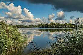 Check spelling or type a new query. Page 31 Royalty Free With Clouds In The Background Photos Pikist