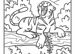 Check spelling or type a new query. Jungle Coloring Pages Printables Education Com
