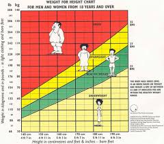 Body Mass Index Chart