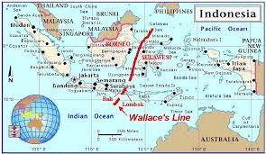 Gambar merupakan bahasa yang universal dan dikenal jauh sebelum manusia mengenal tulisan. Penjelasan Terlengkap Tentang Analisa Sebaran Hewan Dan Tumbuhan Di Indonesia Pelajaran Sekolah Online