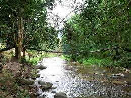 Hujan lebat berterusan awal pagi hari ini menyebabkan beberapa kawasan sekitar sungai serai di hulu langat, dilanda banjir. Congkak Eco Resort Pusat Rekreasi Sungai Congkak Hulu Langat Selangor Sg Congkak Chalet Sg Congkak Chalet Sungai Congkak Jungle Tracking Sungai Congkak Camping Di Sg Congkak Camp Fire Sungai Congkak Congkak