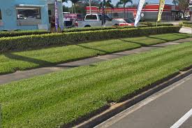 Maybe you would like to learn more about one of these? Bradenton Lawn Care Pro Lawn Service Bradenton Florida Professional Lawn Care Service