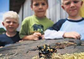 Noah, Justus, Kevin und der Feuersalamander