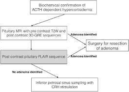 Flow Chart Showing Potential Pituitary Imaging Protocol For