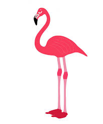 Pink Flamingo Bird Clipart Free Stock Photo Hd Public Domain Pictures Pink Flamingos Birds Flamingo Clip Art Bird Clipart