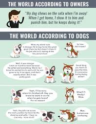 Academy For Dog Trainers Recent Blog Posts Academy For Dog Trainers Blog Dog Trainer Dog Chews Animal Behavior
