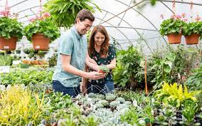 Starting A Diy Landscaping Project Read This First The Good Earth Garden Center In 2021 Plants Trees To Plant Crape Myrtle