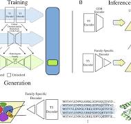 ProT-VAE: Protein Transformer Variational AutoEncoder for ...
