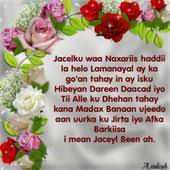 Read more ubaxyo loves photo : Love Is Wonderful If U Find The One Jacelku Waa Naxariis Haddii La Helo Lamanayal Ay Ka Go An Tahay Somali Quotes Love You Husband Love Your Wife Quotes
