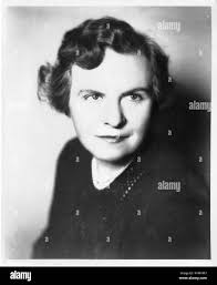 Helen wilkinson hi-res stock photography and images