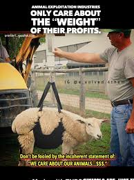 Animal Abuse By Joanne B On Human S Cruelty Super Powers