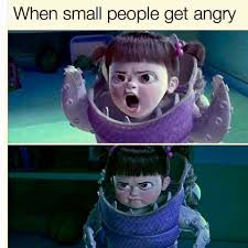 We Look Like Kittens Trying To Behave Like Lions Fun Quotes Funny Funny Stories Short Girl Problems