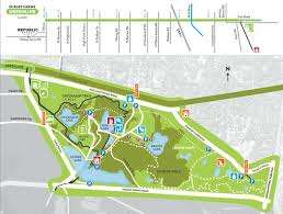 Marion Crenshaw (hedgemoor)