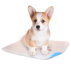 The club she was referring to is lakeshore and it is a pembroke corgi club. Corgi Cartoon 670 621 Transprent Png Free Download Dog Welsh Corgi Pembroke Welsh Corgi Cleanpng Kisspng
