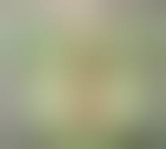 AV女優 美巨乳でエロボディのドスケベ美人OLは媚薬レントゲンで発情しまくりハメまくり絶頂イキまくる〜生ハメ中出し〜レイプSEX〜！！ | adult  channel