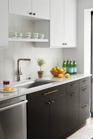 It is just minutes away from the best aruba's beaches and. Gold Coast Condo Renovation Eklektisch Kuche Chicago Von Elizabeth Stamos Design Houzz