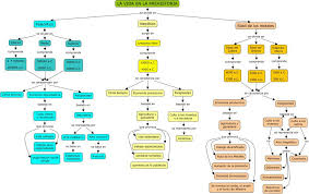Mapas Conceptuales Mapa Conceptual Mapas Imagenes De Mapas