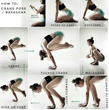 1 269 Likes 50 Comments Lorraine Bradley Catbradleyyoga On Instagram How To Cran Yoga Poses For Men Yoga Positions For Beginners Yoga Help