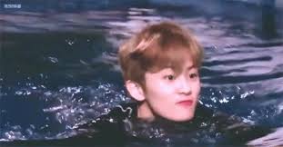 Discover & share this go gif with everyone you know. 40 Ide Nct Gif Nct Wattpad Taeyong